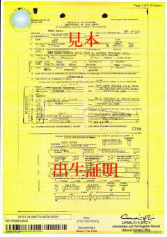 NSO出生証明書 NSO出生証明書